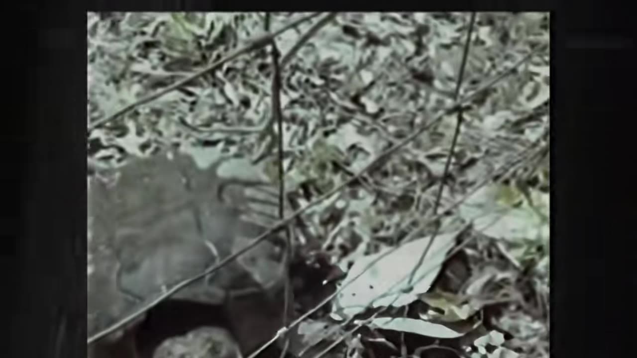 😨👻 The Terrifying Truth Behind This Paranormal Video | TheHauntingHour