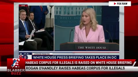 Habeas Corpus For Illegals Is Raised On White House Briefing