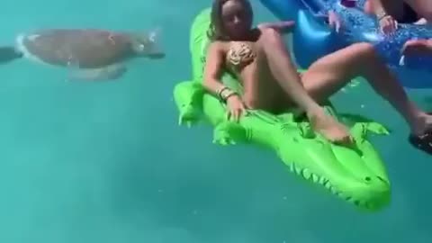One of the reasons why you must not feed wild animals.