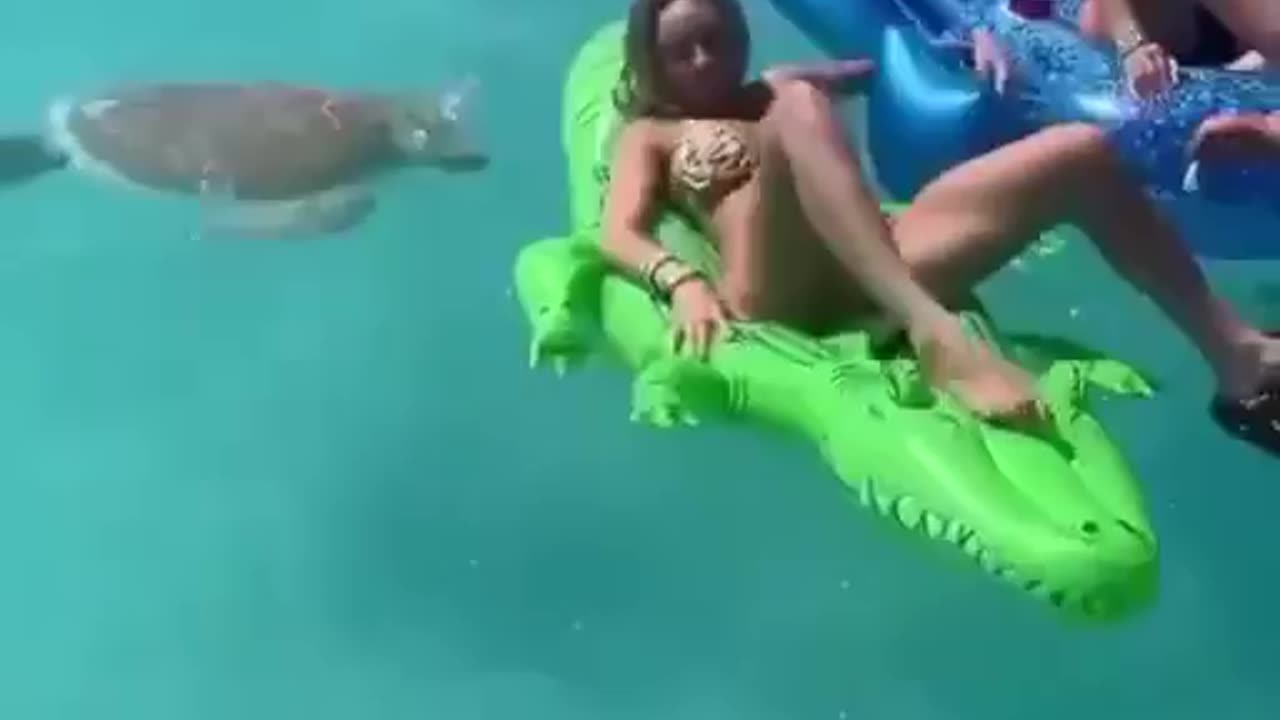 One of the reasons why you must not feed wild animals.