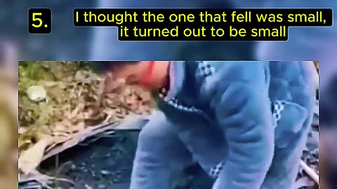Funny Videos Try Not Laugh