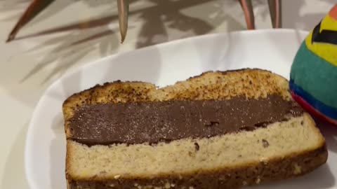 Rainbow Elf Leaves Chocolate Surprise On Toast