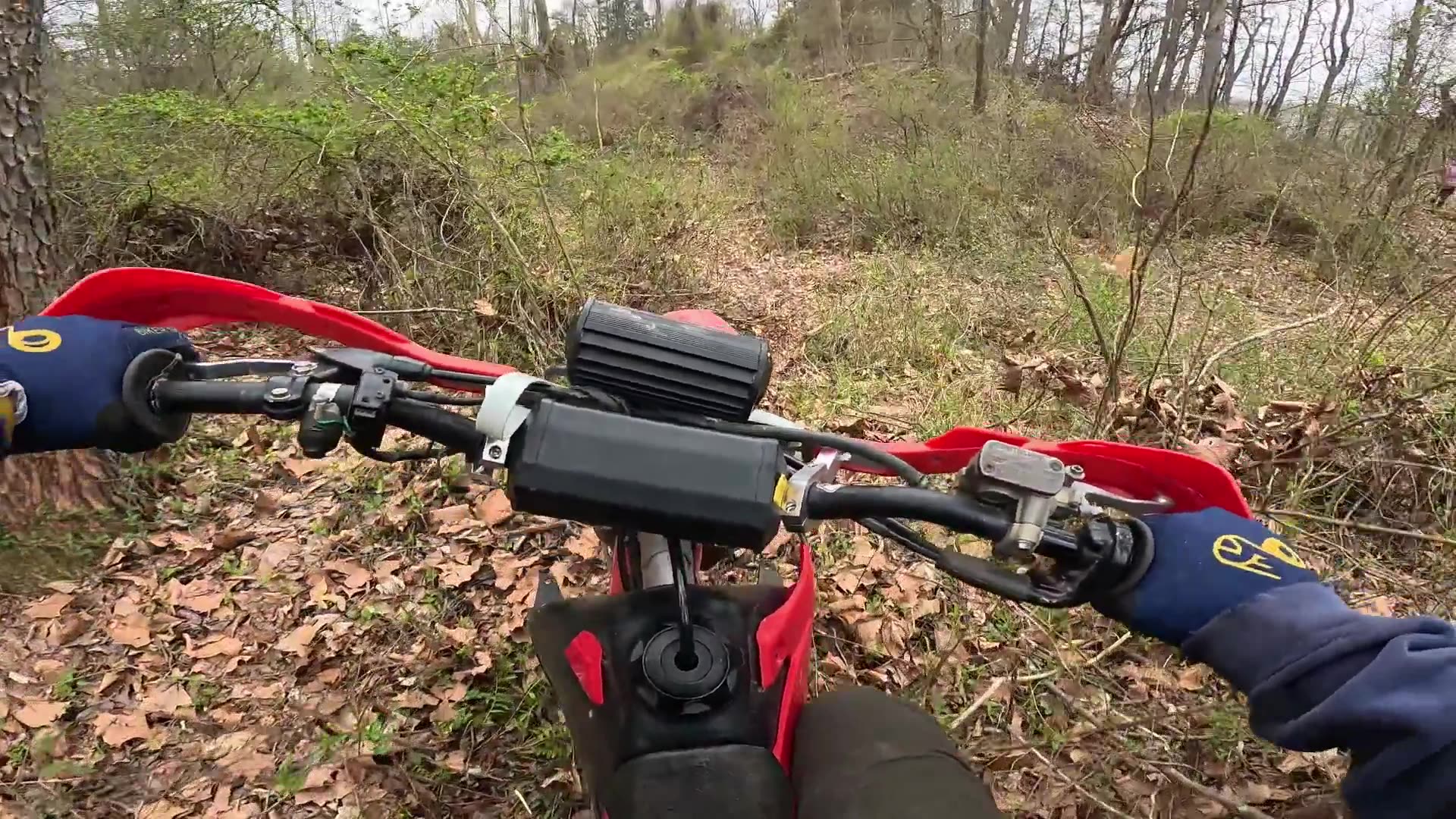 Riding a CRF230F on a brand new singletrack trail