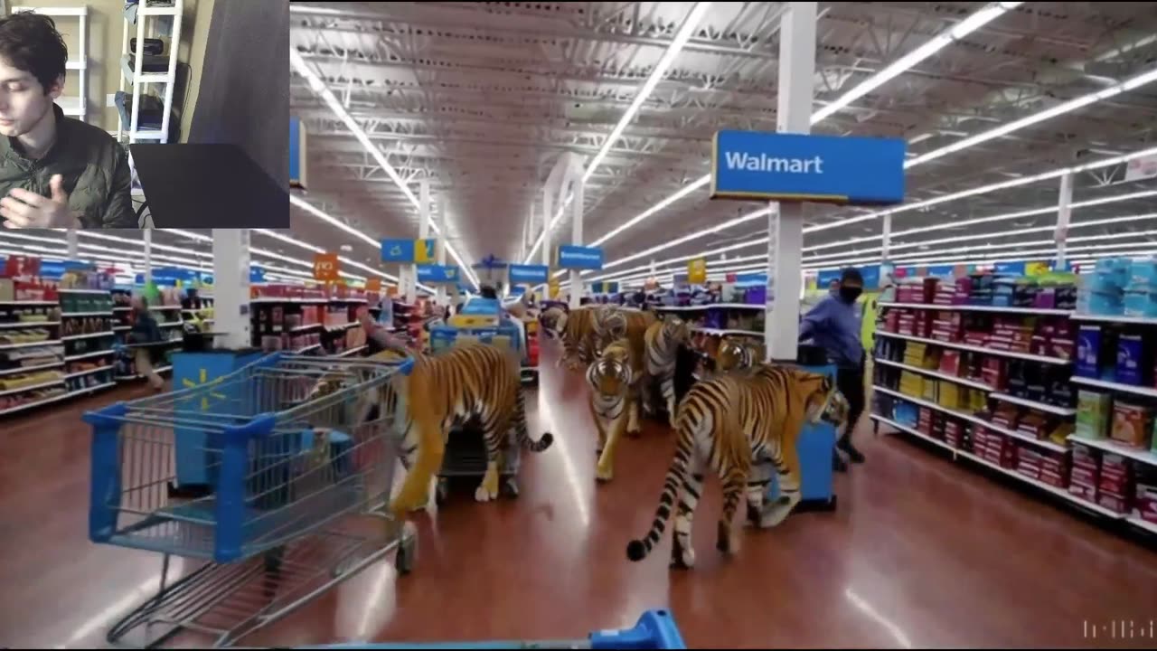 Over 5 Fictitious Tigers Roam Around A Walmart Supercenter Fake Strange Video