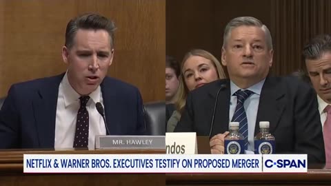 Josh Hawley confronts Netflix co-CEO Ted Sarandos about certain agendas being pushed