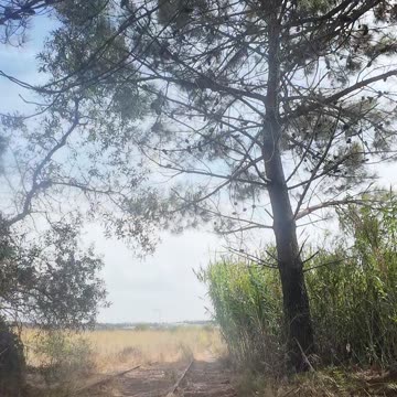 ROCKS and TRAIN Lines! Pedras e Linhas!! BTT Test Drive and Review of ROCKRIDER ST-900S Full Susp