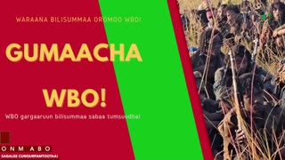 Gabaasa Gumaacha ONM-ABO Adoolessa 22-2025 itti dhiyaadhaa!