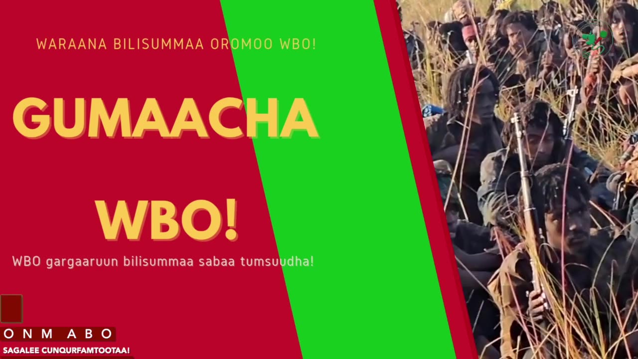 Gabaasa Gumaacha ONM-ABO Adoolessa 22-2025 itti dhiyaadhaa!