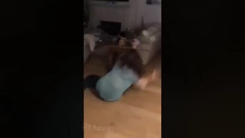 TRY NOT TO LAUGH - Best Funny Videos compilation - Fails & Hilarious Moments - Funny4D