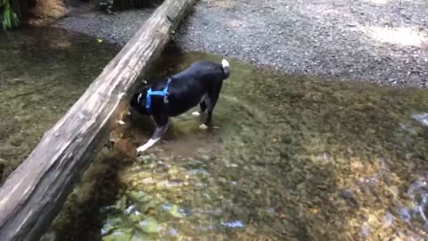 charge the stream