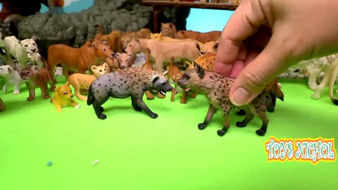 Eight Chimpanzees Build Tree House Made of Wood and Leaves