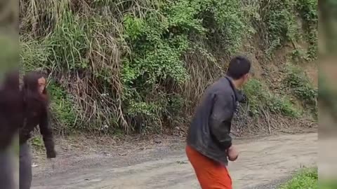 Crazy women driver