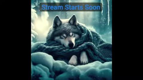 46.Wolf Slumbers Black Pilled Live Stream counter trike doom quake half life grand theft auto