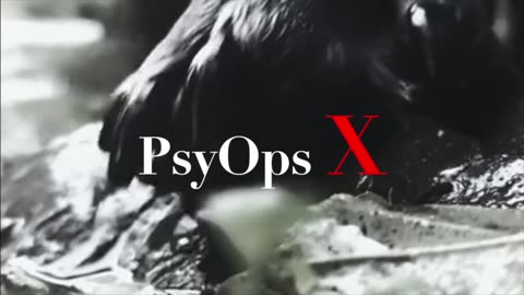 PsyOps X 05122025