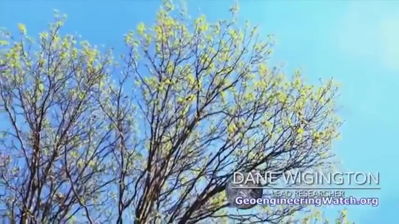 The Dimming Full Length Documentary