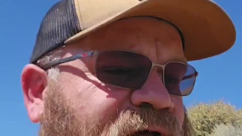 Funny Muledeer Hunt