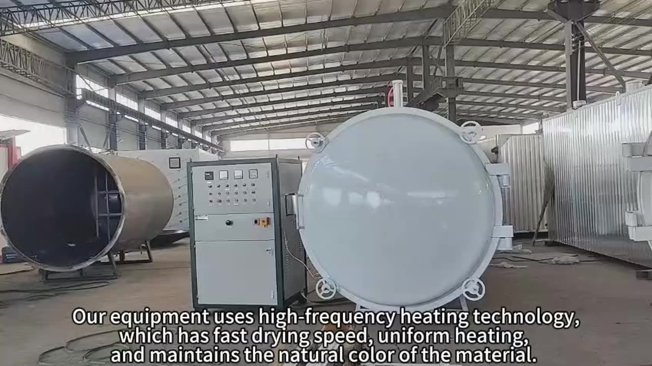 high-frequency vacuum dryer