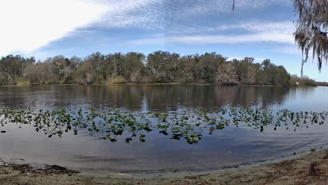 Riverview Time-Lapse: St. John’s Tranquil Tides (Jan 22, 2026)