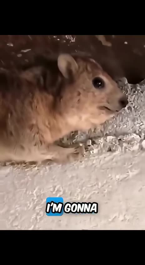 Hey you, get down from there 👆