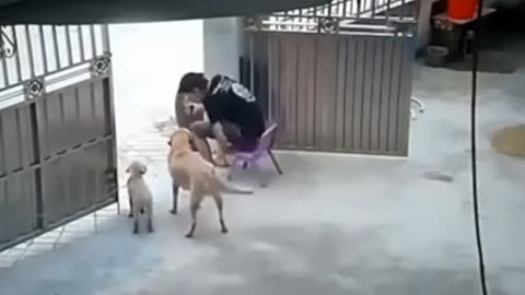 🚨 Unbelievable Moments Captured in Action!