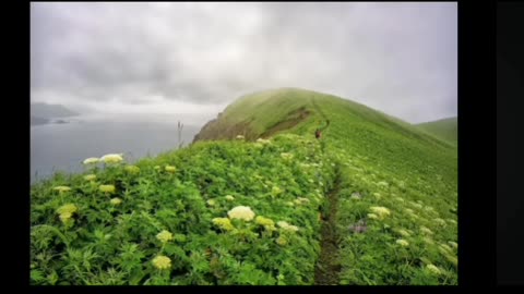 Awen: Hidden True Crime & The Streisand Effect