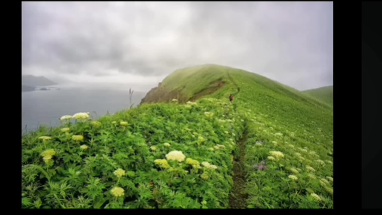 Awen: Hidden True Crime & The Streisand Effect