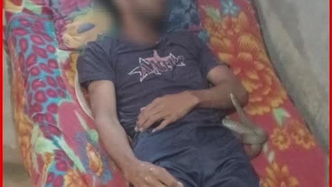Meerut Murder Twist: Snakebite Used to Cover Up Strangulation