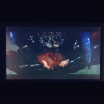 Tim Rifat TikTok Videos