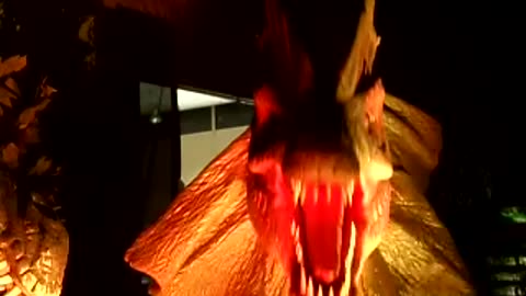 Head bobbing and tongue twitching