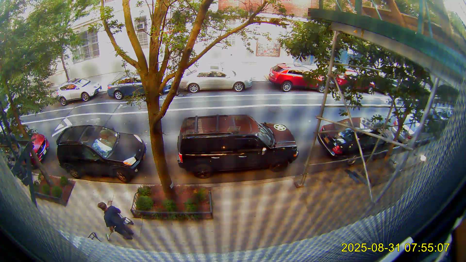 Sunday labor day weekend