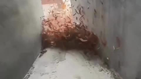 Blast Away Dust in Seconds with This Turbojet Blower!