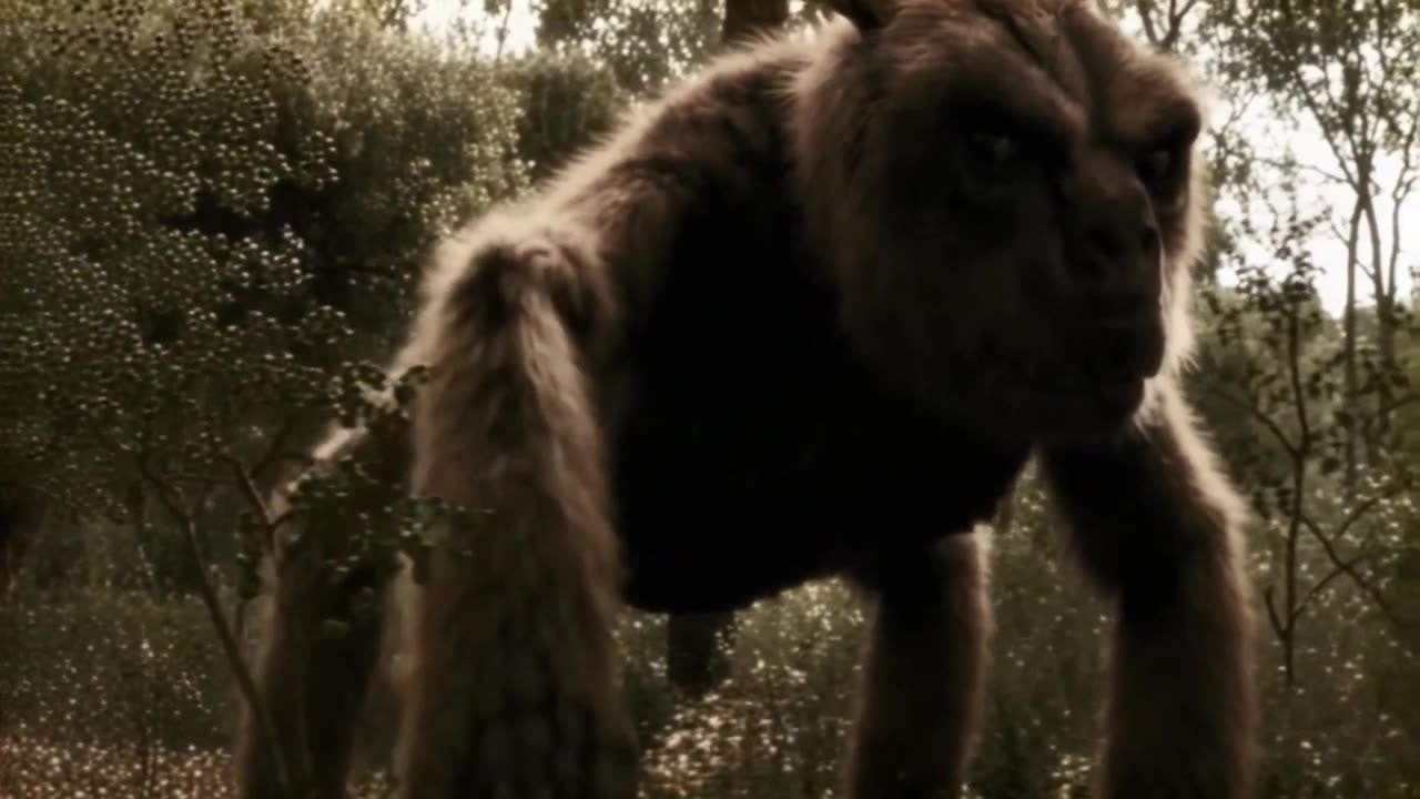 A Sneak Peak at my upcoming YouTube videos.