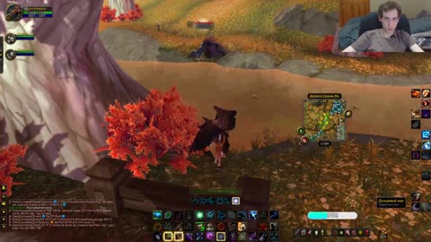 От травы до жетонов: мои приключения