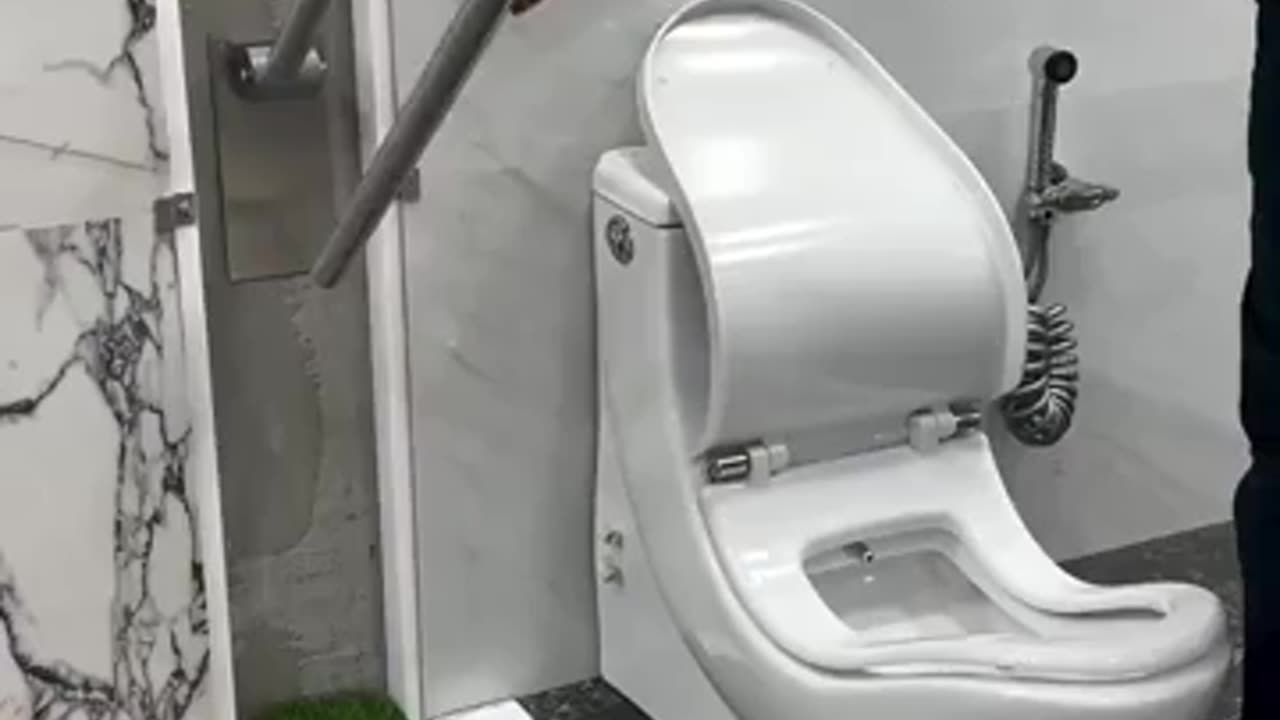 A smart seat designed to optimize toilet posture