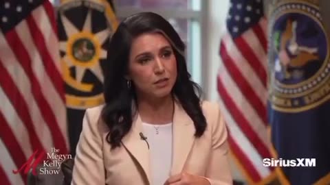 Tulsi Gabbard is investigating Dr. Fauci for perjury funding Wuhan gain-of-function research