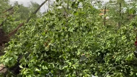 On 05/16/25, a huge and terrible tornado destroyed many families, shocking images!!