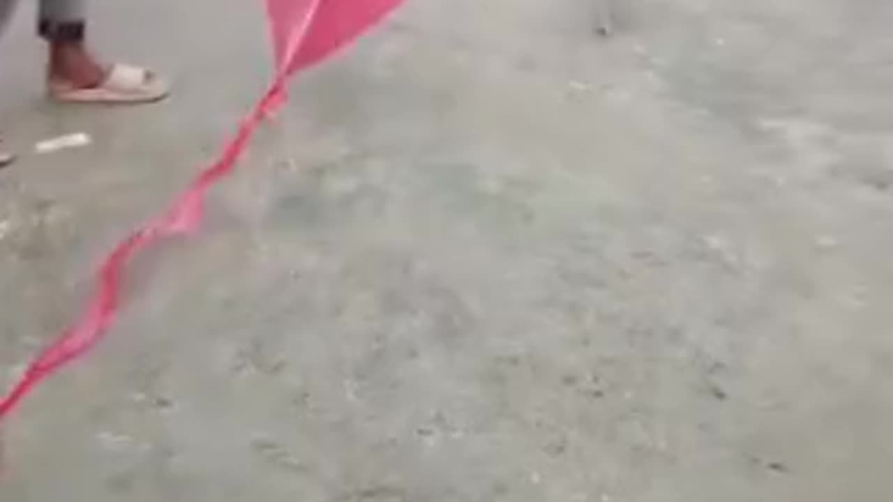 Comedy and funny videos 😂
