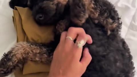 🔊👻 Can Someone Tell Me What the Voice in the Background is Saying? | TheHauntingHour