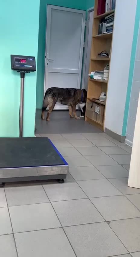 Secret rendezvous 😀