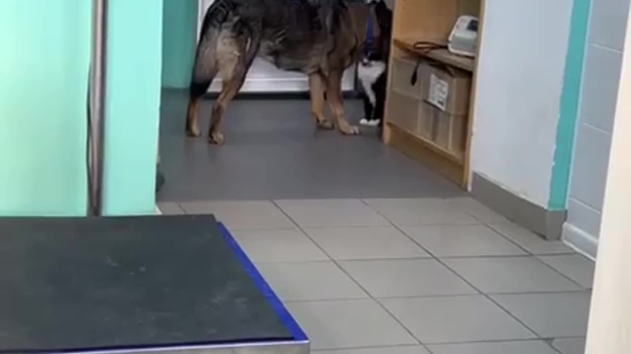 Secret rendezvous 😀