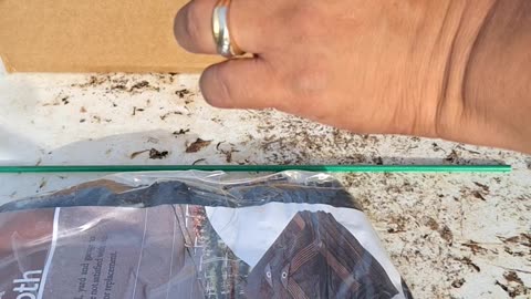 Mini basil hoop house