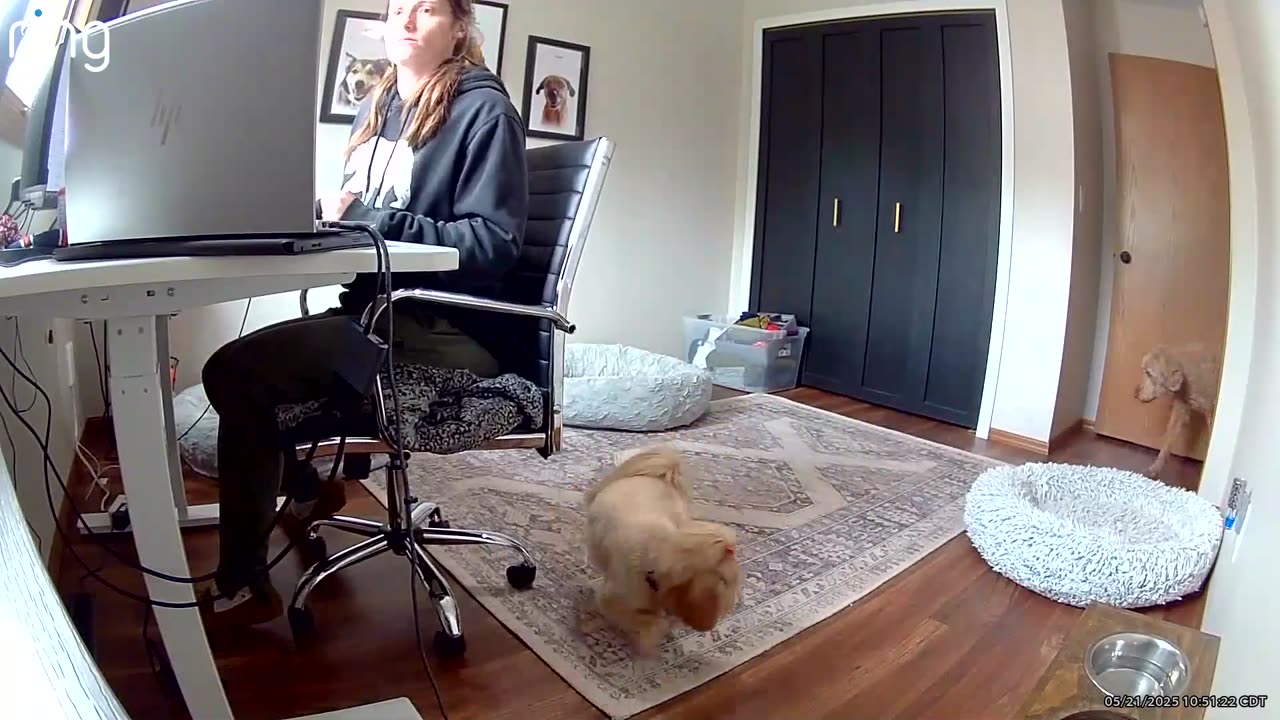 Hoping for Some Remote Work Comp