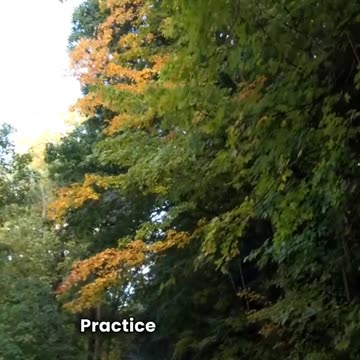 Commute Smarter: Transform Idle Time Into Productivity