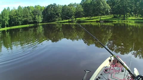 Wow! We had a lot of fun fishing this small private pond - lots of bass around 1# size, Fish On!