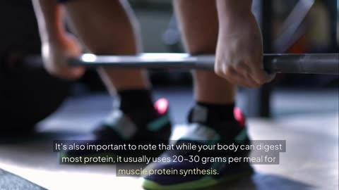 How Much Protein Do You Really Need? | Protein 101 Guide