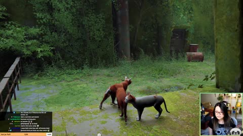 [7/19/22] I'M FINALLY CAT! YAAAAAAAA