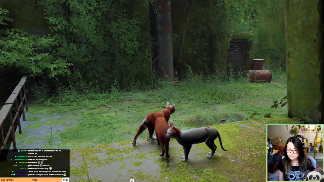 [7/19/22] I'M FINALLY CAT! YAAAAAAAA