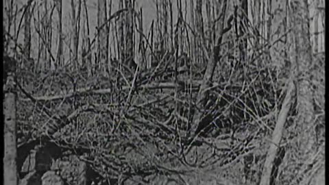 [STOCK NEWSREEL EXCERPTS] - [STOCK NEWSREEL EXCERPTS] - cbs-cbswwi-387