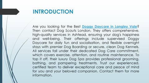 Best Doggy Daycare in Langley Vale