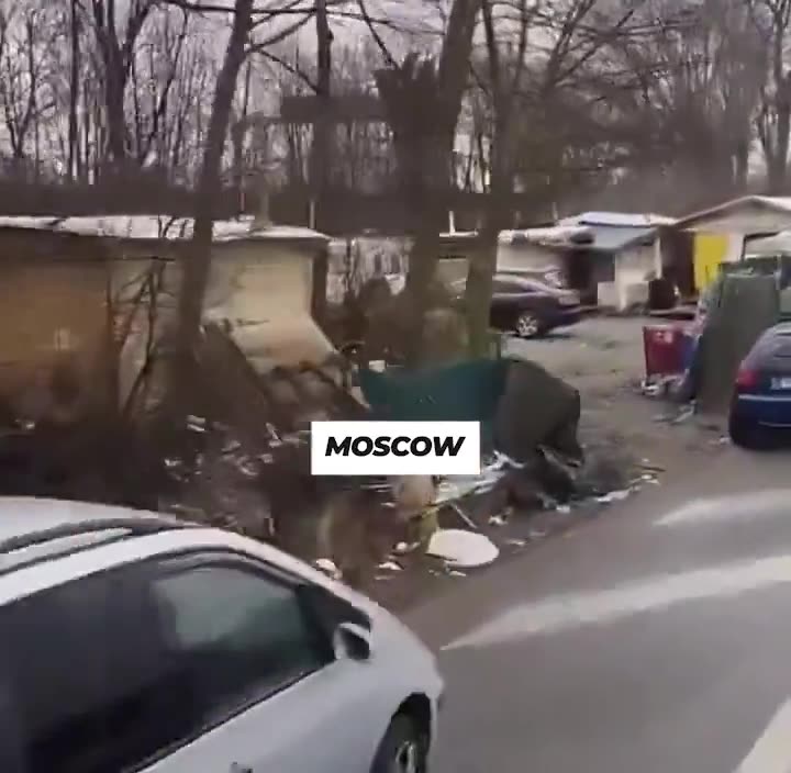 This Is What Russia Looks Like After Four Years of Sanctions!